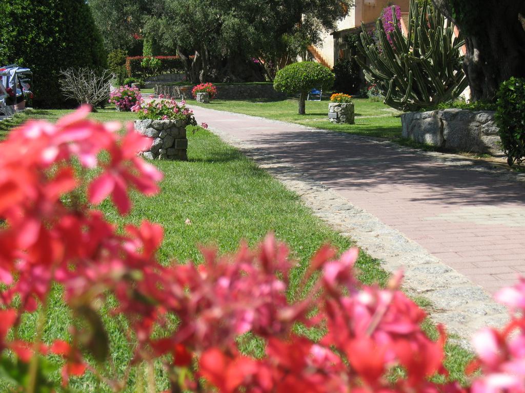 Villaggio L'Olivara Tropea Exterior photo