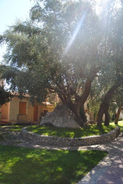 Villaggio L'Olivara Tropea Exterior photo